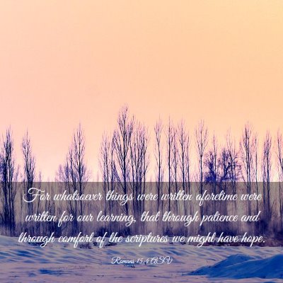 Picture 03 - Romans 15:4 ASV - For whatsoever things were written aforetime were - Bible Verse Picture