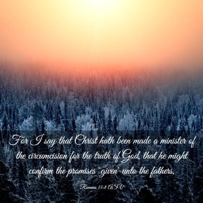 Picture 03 - Romans 15:8 ASV - For I say that Christ hath been made a minister - Bible Verse Picture