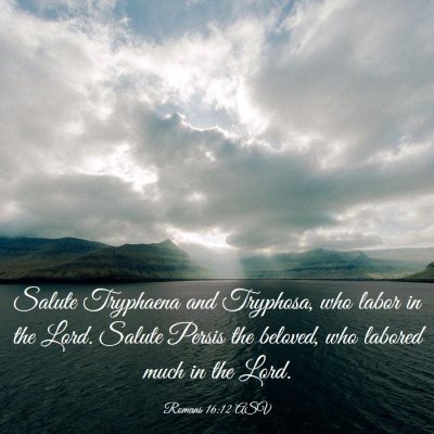 Picture 03 - Romans 16:12 ASV - Salute Tryphaena and Tryphosa, who labor in the - Bible Verse Picture