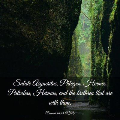 Picture 03 - Romans 16:14 ASV - Salute Asyncritus, Phlegon, Hermes, Patrobas, - Bible Verse Picture