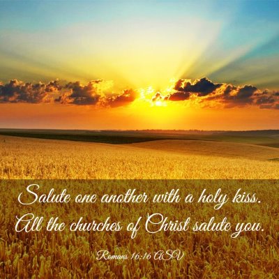 Picture 03 - Romans 16:16 ASV - Salute one another with a holy kiss. All the - Bible Verse Picture