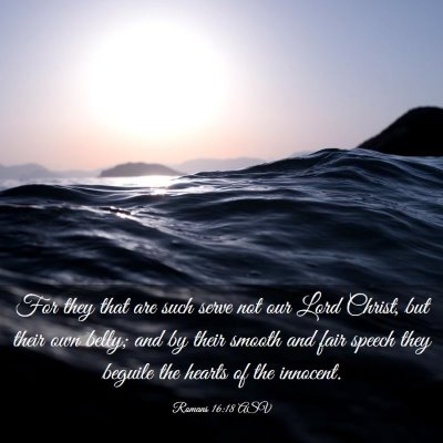 Picture 03 - Romans 16:18 ASV - For they that are such serve not our Lord Christ, - Bible Verse Picture