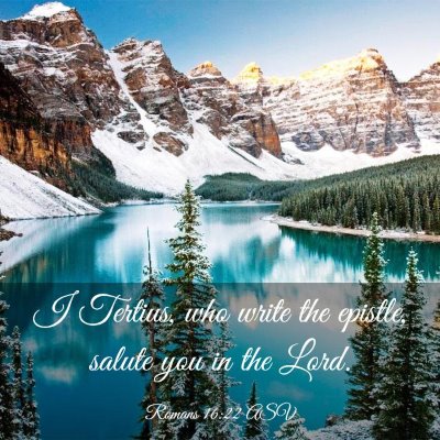 Picture 03 - Romans 16:22 ASV - I Tertius, who write the epistle, salute you in - Bible Verse Picture