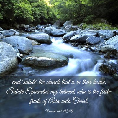 Picture 03 - Romans 16:5 ASV - and `salute' the church that is in their house. - Bible Verse Picture