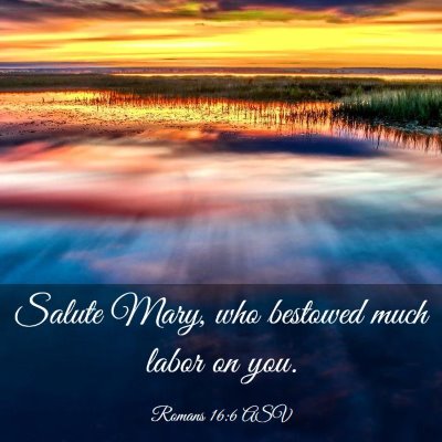 Picture 03 - Romans 16:6 ASV - Salute Mary, who bestowed much labor on - Bible Verse Picture
