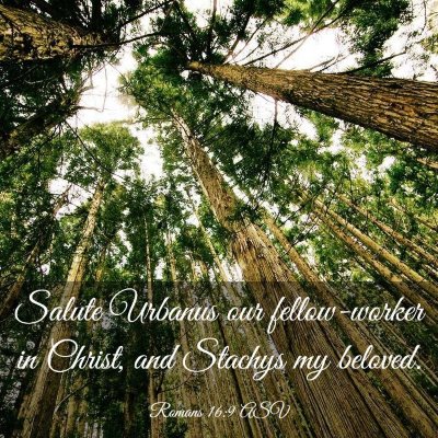 Picture 03 - Romans 16:9 ASV - Salute Urbanus our fellow-worker in Christ, and - Bible Verse Picture