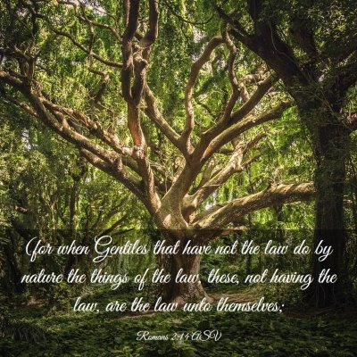 Picture 03 - Romans 2:14 ASV - (for when Gentiles that have not the law do by - Bible Verse Picture