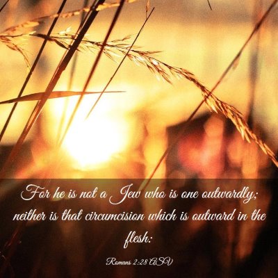 Picture 03 - Romans 2:28 ASV - For he is not a Jew who is one outwardly; neither - Bible Verse Picture