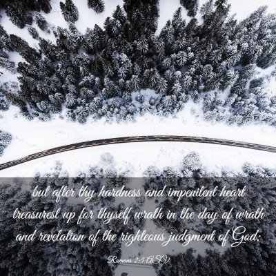 Picture 03 - Romans 2:5 ASV - but after thy hardness and impenitent heart - Bible Verse Picture