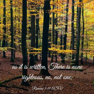 Picture 03 - Romans 3:10 ASV - as it is written, There is none righteous, no, - Bible Verse Picture