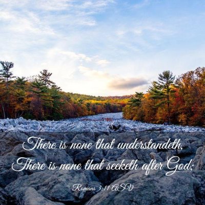 Picture 03 - Romans 3:11 ASV - There is none that understandeth, There is none - Bible Verse Picture