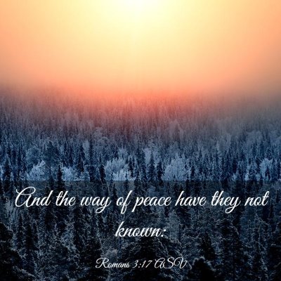 Picture 03 - Romans 3:17 ASV - And the way of peace have they not - Bible Verse Picture