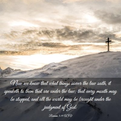 Picture 03 - Romans 3:19 ASV - Now we know that what things soever the law - Bible Verse Picture