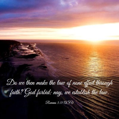 Picture 03 - Romans 3:31 ASV - Do we then make the law of none effect through - Bible Verse Picture