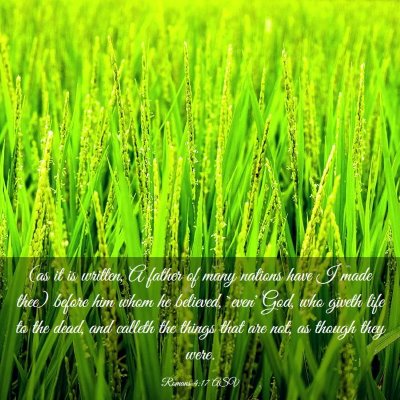 Picture 03 - Romans 4:17 ASV - (as it is written, A father of many nations have - Bible Verse Picture