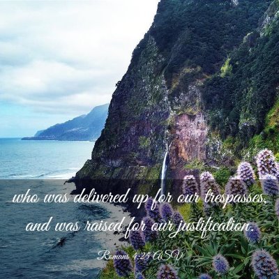 Picture 03 - Romans 4:25 ASV - who was delivered up for our trespasses, and was - Bible Verse Picture