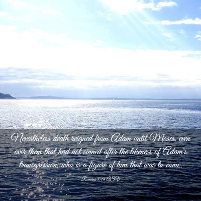 Picture 03 - Romans 5:14 ASV - Nevertheless death reigned from Adam until Moses, - Bible Verse Picture