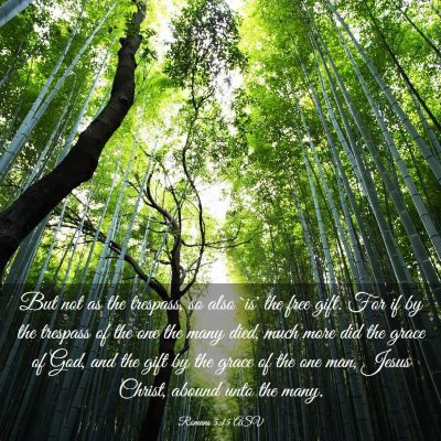 Picture 03 - Romans 5:15 ASV - But not as the trespass, so also `is' the free - Bible Verse Picture