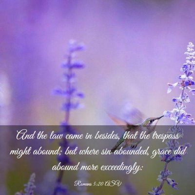 Picture 03 - Romans 5:20 ASV - And the law came in besides, that the trespass - Bible Verse Picture