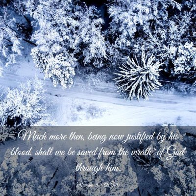 Picture 03 - Romans 5:9 ASV - Much more then, being now justified by his blood, - Bible Verse Picture