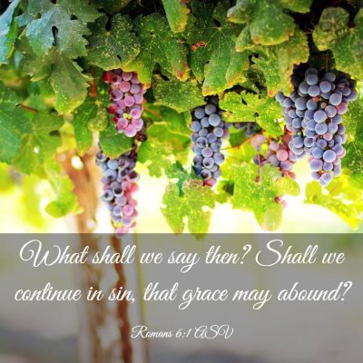 Picture 03 - Romans 6:1 ASV - What shall we say then? Shall we continue in sin, - Bible Verse Picture