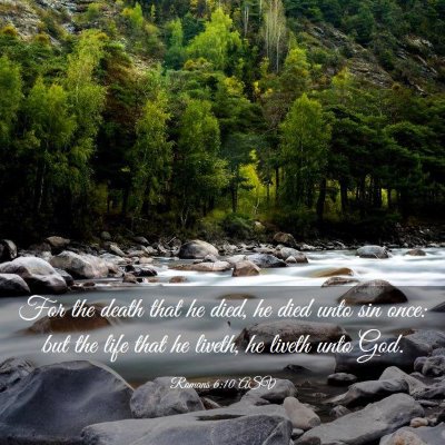 Picture 03 - Romans 6:10 ASV - For the death that he died, he died unto sin - Bible Verse Picture