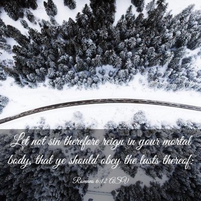 Picture 03 - Romans 6:12 ASV - Let not sin therefore reign in your mortal body, - Bible Verse Picture