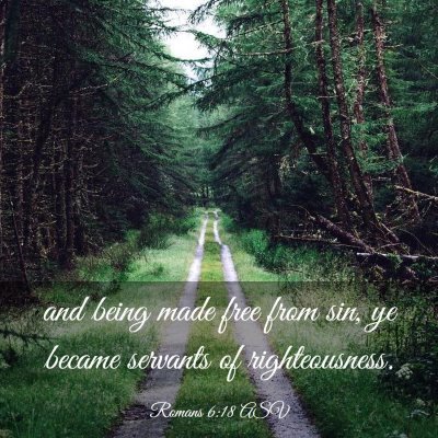 Picture 03 - Romans 6:18 ASV - and being made free from sin, ye became servants - Bible Verse Picture