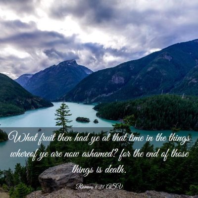 Picture 03 - Romans 6:21 ASV - What fruit then had ye at that time in the things - Bible Verse Picture