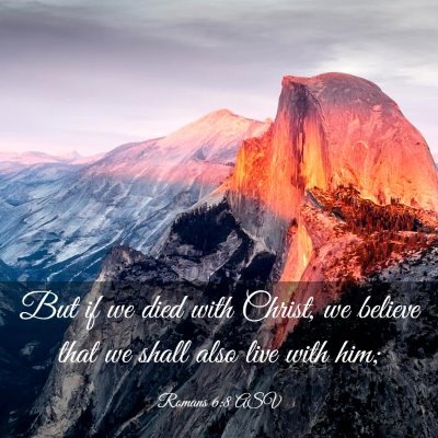 Picture 03 - Romans 6:8 ASV - But if we died with Christ, we believe that we - Bible Verse Picture