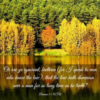 Picture 03 - Romans 7:1 ASV - Or are ye ignorant, brethren (for I speak to men - Bible Verse Picture