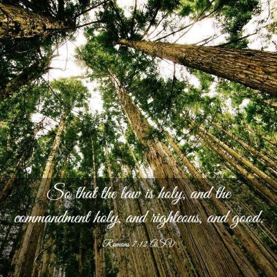 Picture 03 - Romans 7:12 ASV - So that the law is holy, and the commandment - Bible Verse Picture