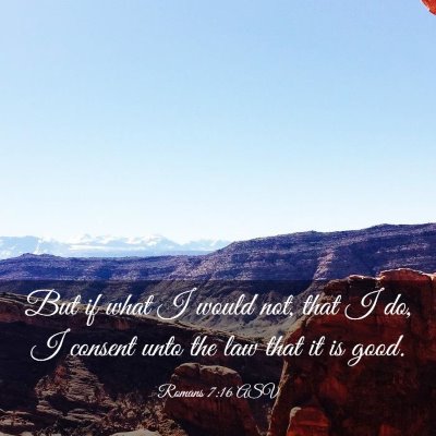 Picture 03 - Romans 7:16 ASV - But if what I would not, that I do, I consent - Bible Verse Picture