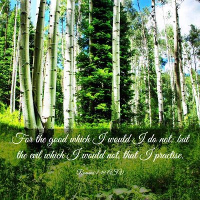 Picture 03 - Romans 7:19 ASV - For the good which I would I do not: but the evil - Bible Verse Picture
