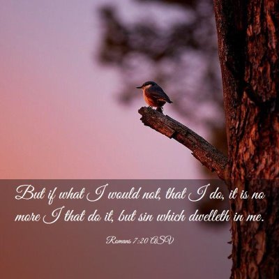 Picture 03 - Romans 7:20 ASV - But if what I would not, that I do, it is no more - Bible Verse Picture