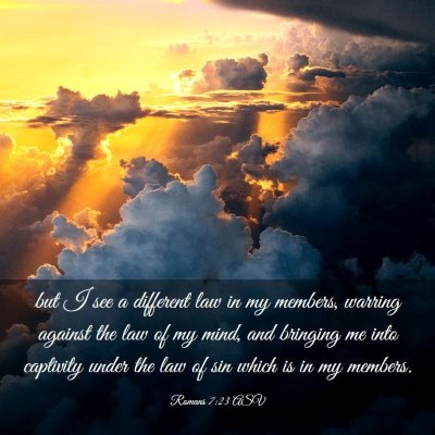 Picture 03 - Romans 7:23 ASV - but I see a different law in my members, warring - Bible Verse Picture
