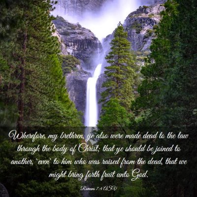 Picture 03 - Romans 7:4 ASV - Wherefore, my brethren, ye also were made dead to - Bible Verse Picture