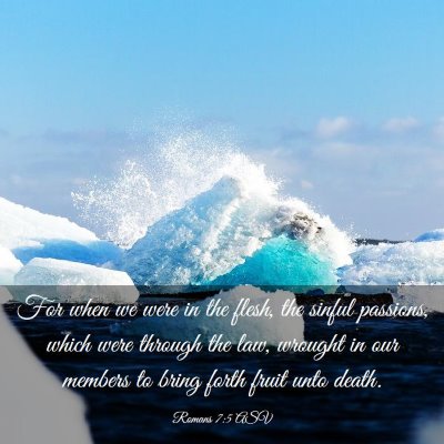Picture 03 - Romans 7:5 ASV - For when we were in the flesh, the sinful - Bible Verse Picture