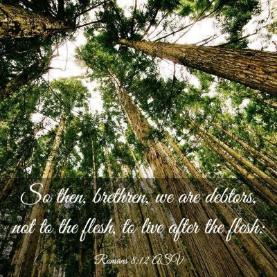 Picture 03 - Romans 8:12 ASV - So then, brethren, we are debtors, not to the - Bible Verse Picture