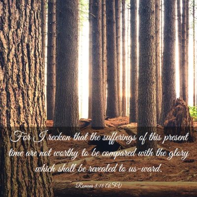 Picture 03 - Romans 8:18 ASV - For I reckon that the sufferings of this present - Bible Verse Picture
