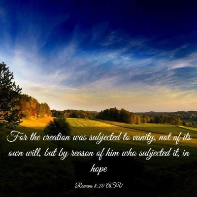 Picture 03 - Romans 8:20 ASV - For the creation was subjected to vanity, not of - Bible Verse Picture