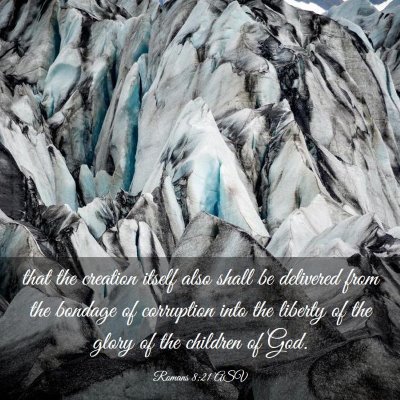Picture 03 - Romans 8:21 ASV - that the creation itself also shall be delivered - Bible Verse Picture