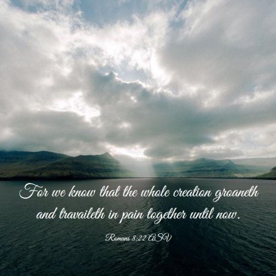 Picture 03 - Romans 8:22 ASV - For we know that the whole creation groaneth and - Bible Verse Picture