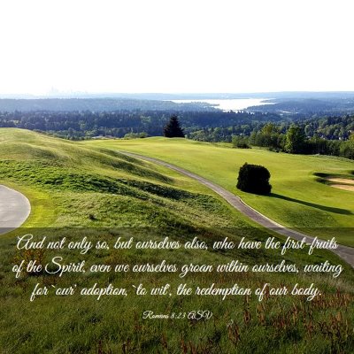 Picture 03 - Romans 8:23 ASV - And not only so, but ourselves also, who have the - Bible Verse Picture