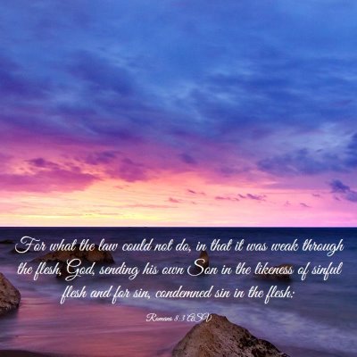 Picture 03 - Romans 8:3 ASV - For what the law could not do, in that it was - Bible Verse Picture