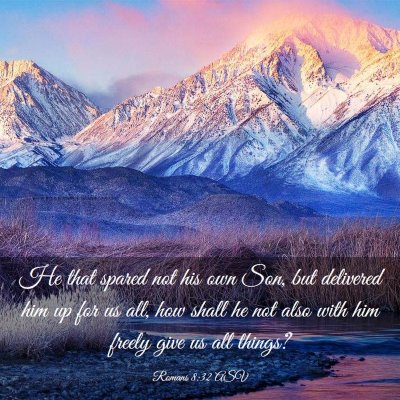 Picture 03 - Romans 8:32 ASV - He that spared not his own Son, but delivered him - Bible Verse Picture