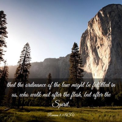 Picture 03 - Romans 8:4 ASV - that the ordinance of the law might be fulfilled - Bible Verse Picture