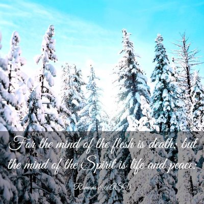 Picture 03 - Romans 8:6 ASV - For the mind of the flesh is death; but the mind - Bible Verse Picture