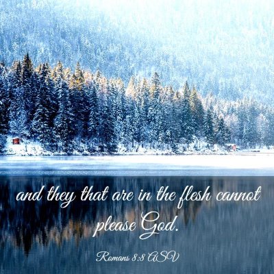 Picture 03 - Romans 8:8 ASV - and they that are in the flesh cannot please - Bible Verse Picture