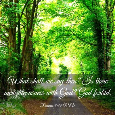 Picture 03 - Romans 9:14 ASV - What shall we say then? Is there unrighteousness - Bible Verse Picture